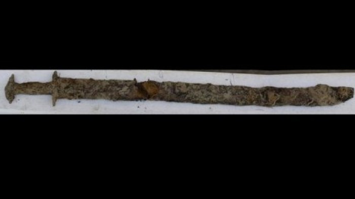 Восьмилетняя шведка вытащила из озера древний меч: ему 1500 лет