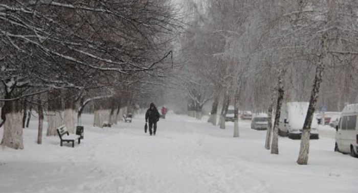 Молдову ждут снегопады и метель