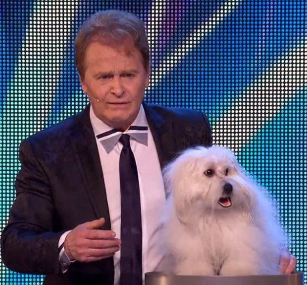 Раскрыт секрет говорящей собаки, взорвавшей шоу «Британия ищет таланты»