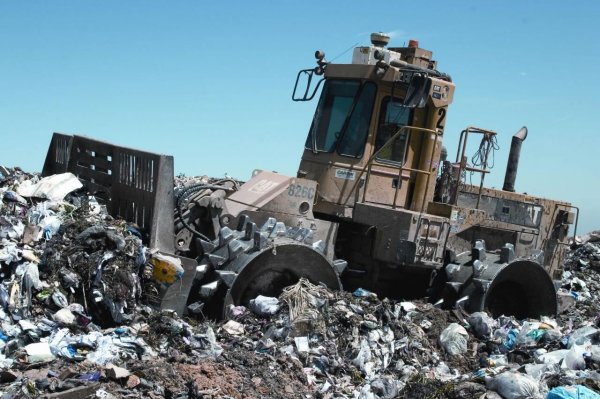 10 интересных фактов о переработке отходов
