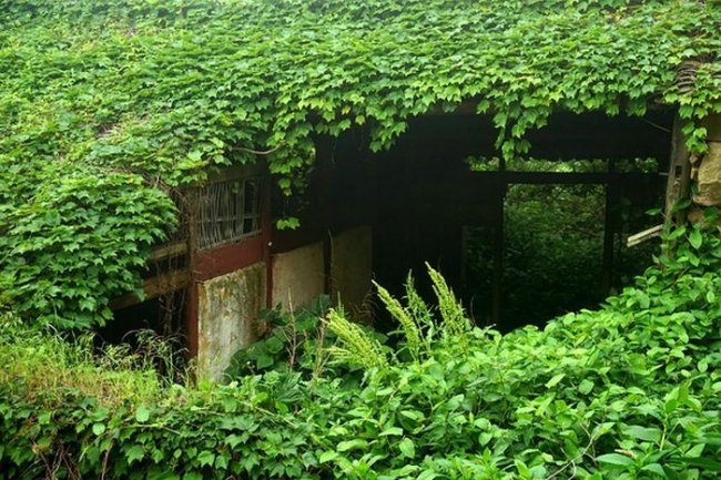 Заброшенная зеленая деревня в Китая