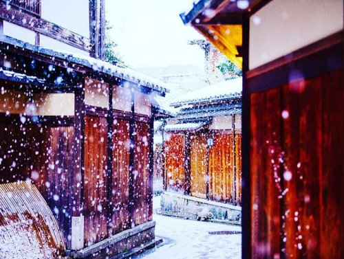 Заснеженный Киото превратился в настоящую зимнюю сказку