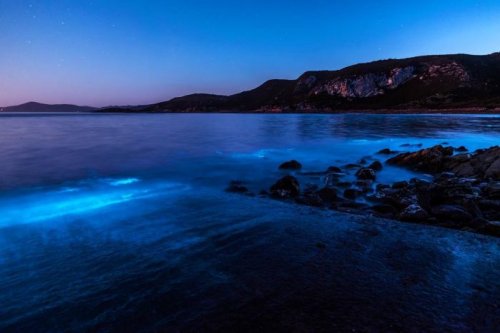 Светящаяся вода на побережье Тасмании
