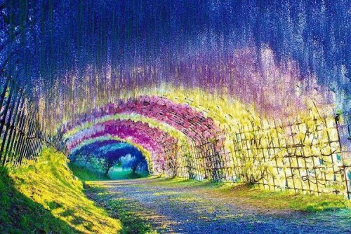 Потрясающие природные туннели, прогулка по которым похожа на сказку