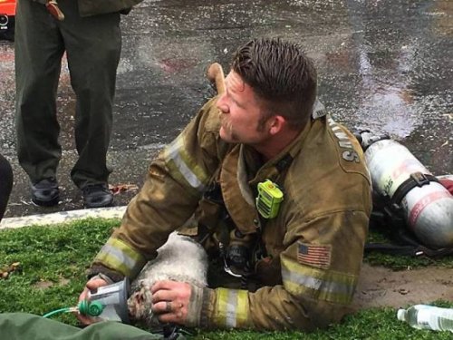 Калифорнийский пожарный доказал своё предназначение спасать жизнь каждого живого существа