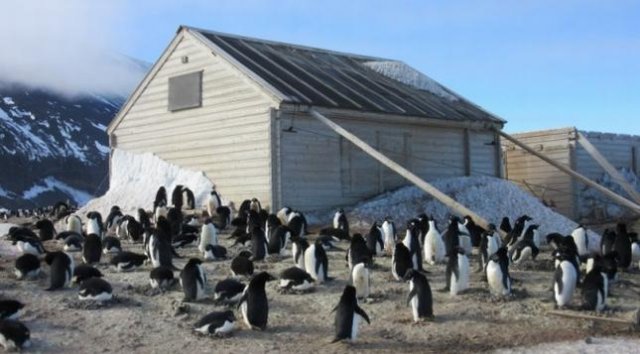 В Антарктиде найдена картина, которой более 100 лет