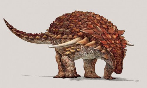 В Канаде обнаружили хорошо сохранившиеся останки динозавра, которые можно принять за скульптуру