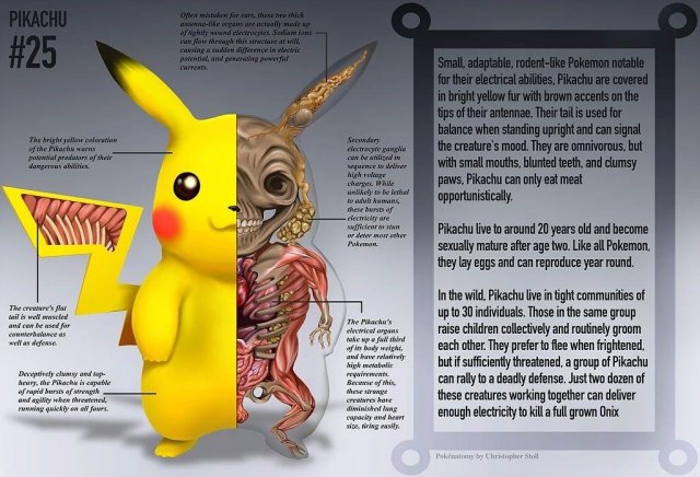 PokeNatomy: анатомические особенности покемонов в одной книге
