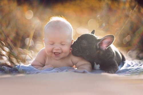 Родившиеся в один день малыш и щенок стали лучшими друзьями