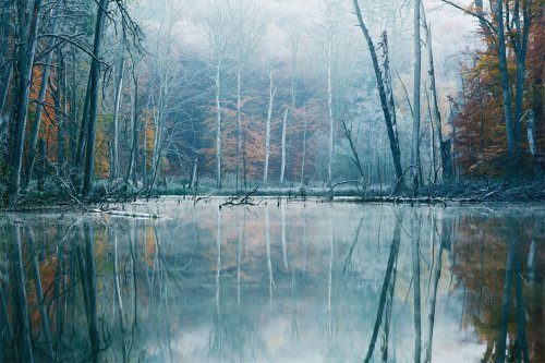 Осень на озере в фотосерии Килиана Шёнбергера