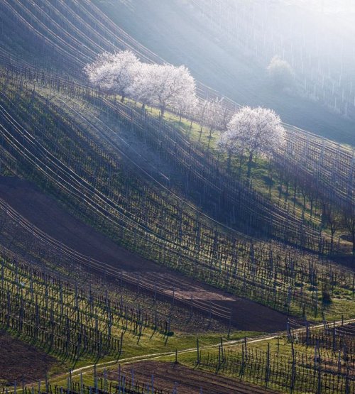 Волшебные пейзажи сельской Швейцарии в фотографиях Мартина Рака