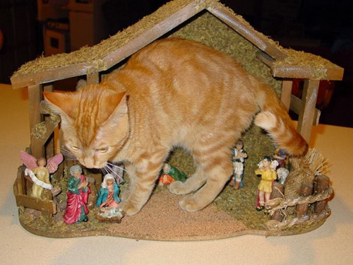 Кошки-разрушительницы рождественских вертепов