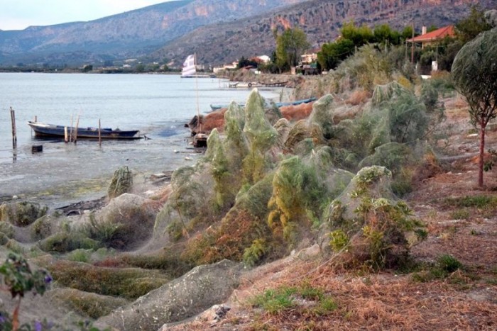 300-метровая паутина вдоль береговой линии в Греции