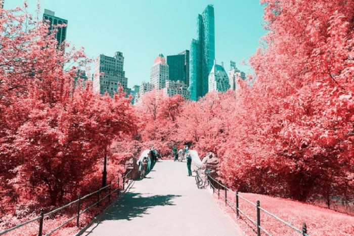 Центральный парк Нью-Йорка в фотографиях Paolo Pettigiani