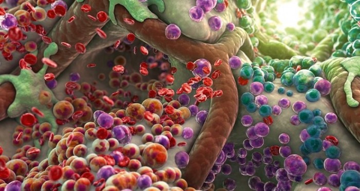 Ученые создали искусственные клетки для борьбы с раком: революция в онкологии