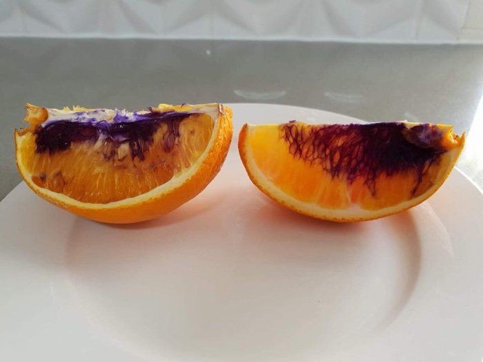 Ставший фиолетовым апельсин озадачил даже ученых