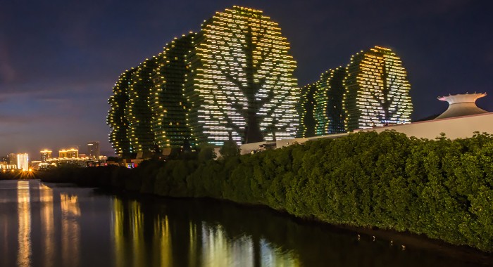 Дома-деревья в Китае: какие вокруг них ходят слухи и почему чудо-здания пустуют