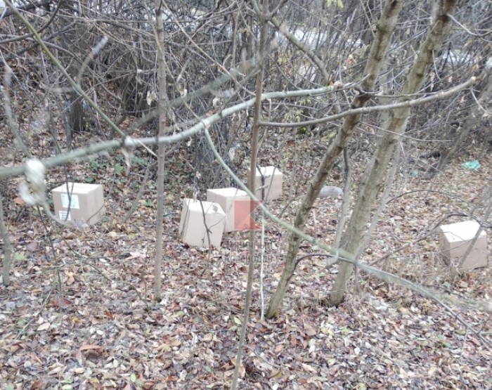 В лесу под Краснодаром нашли коробки с вакцинами