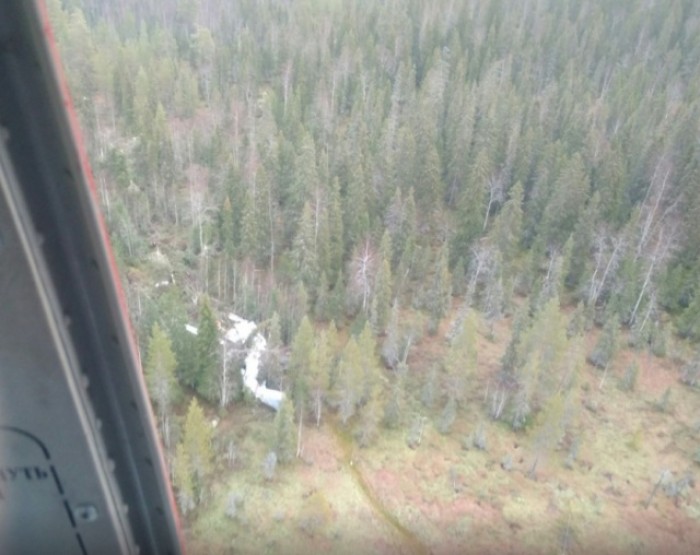Жесткая посадка Ан-2 в лесу Архангельской области