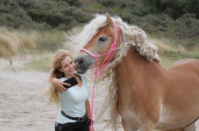 Жительница Голландии показала миру свою лошадь с поразительно длинной гривой, и она будто из сказки