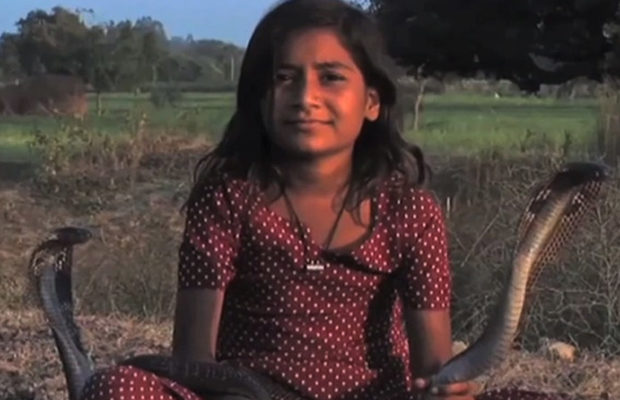 Девочка из Индии дружит с королевскими кобрами — и жива