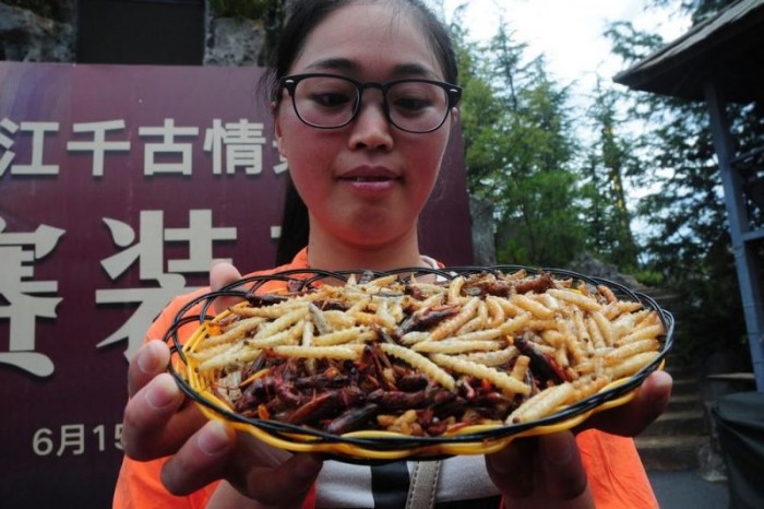 Китайский конкурс на поедание стрекоз, личинок и червей