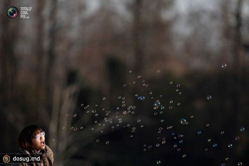 Девочка выдувает мыльные пузыри в парке в Шанхае, Китай.