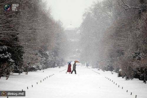 Люди идут по парку во время снегопада в Бухаресте, Румыния. 