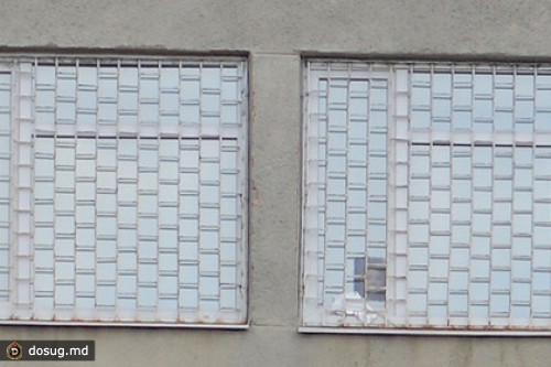 «Простого слизняка» попросили освободить Тимошенко