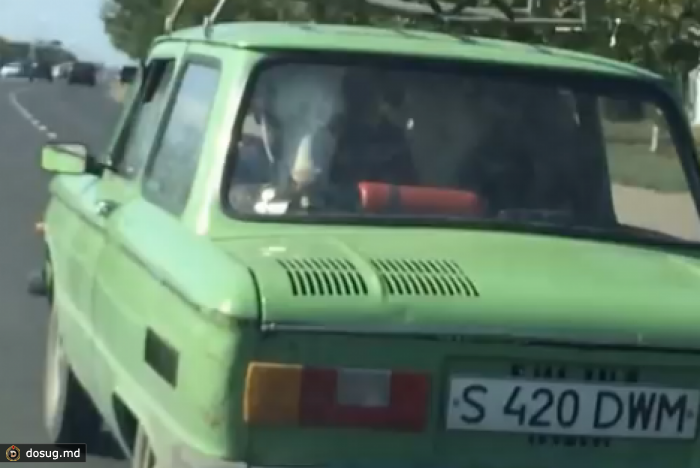 "Это Павлодар, детка!" или как перевозить корову в "Запорожце". ВИДЕО