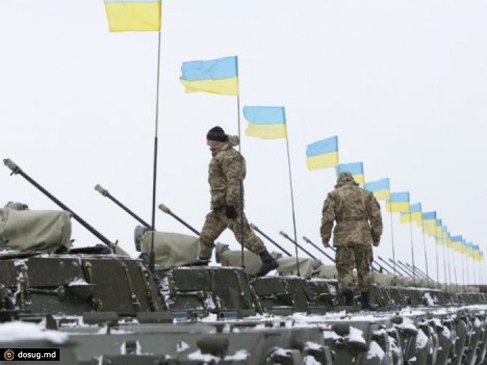 "Трусливые шавки": советник Порошенко возмутился большим количеством уклонистов от армии