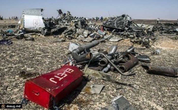Власти Египта: самописцы Airbus зафиксировали посторонний шум