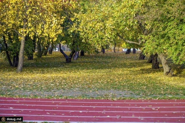 105-летний японец установил рекорд на стометровке