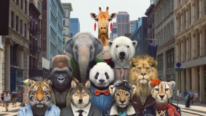 Чрезмерная популярность вредит исчезающим видам животных