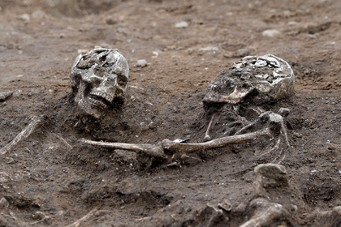 Доказана возможность существования вымерших разумных существ