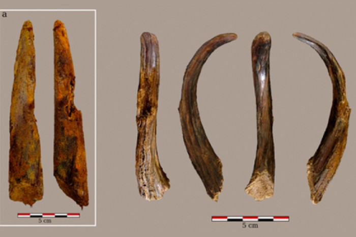 Доказано наличие сложного мышления у неандертальцев