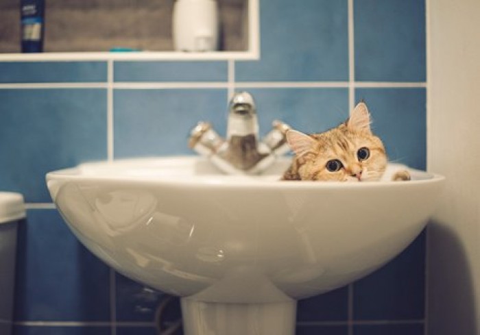 На некоторых улицах столицы временно отключат воду