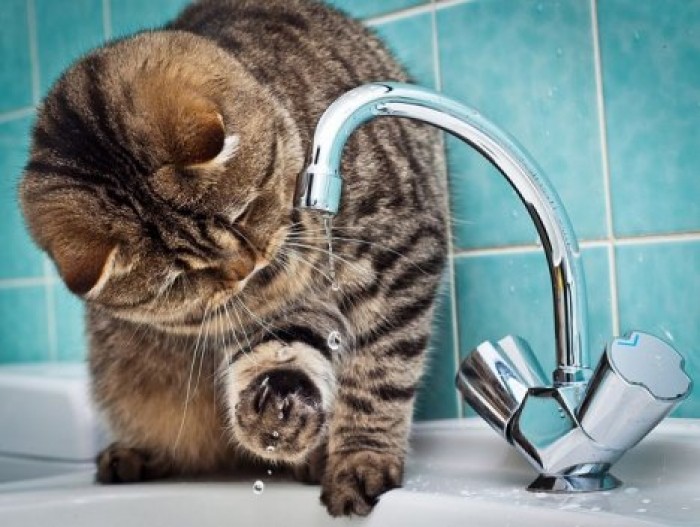 Отключения воды в столице