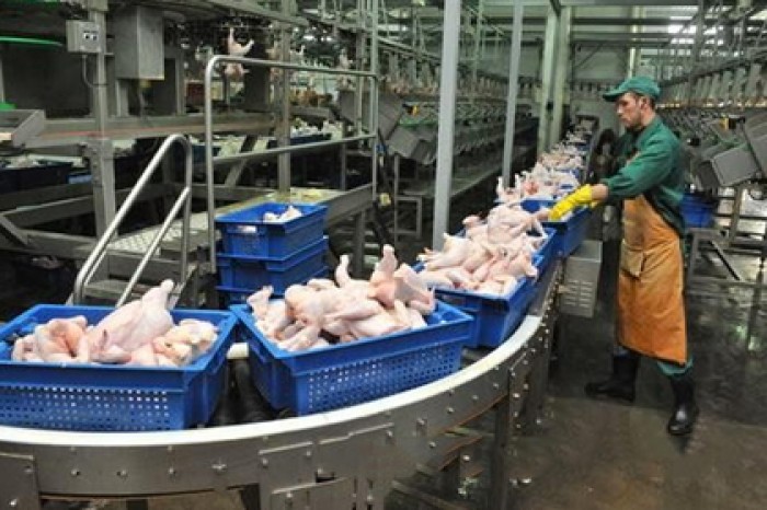 Семья министра Ткачева нацелилась на многомиллиардный бизнес