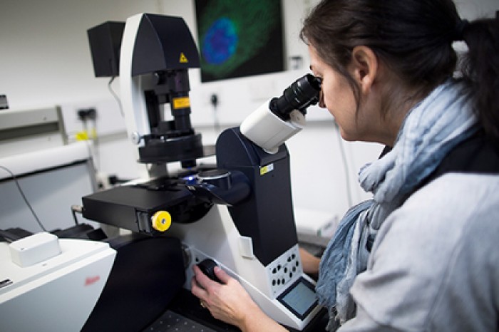 Ученые МГУ объяснили живучесть вирусов