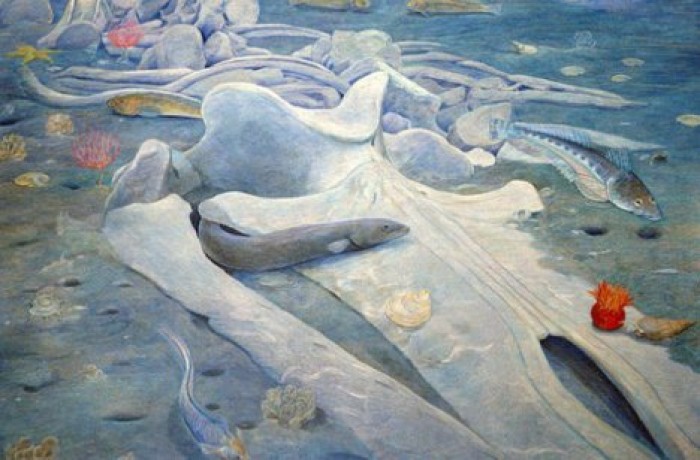 В Новой Зеландии обнаружили новый вид вымерших китов