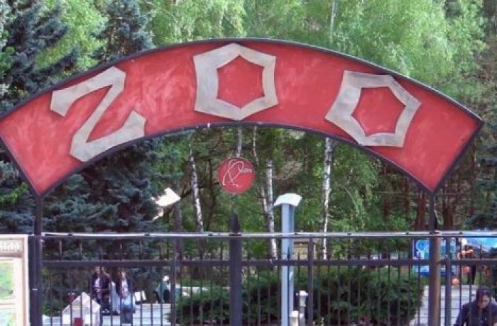 В столичном зоопарке отреставрируют лестницы и оборудуют фонтан