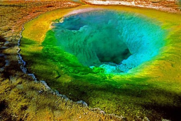 Микробы из Йеллоустона рассказали о жизни на ранней Земле и, возможно, на Марсе