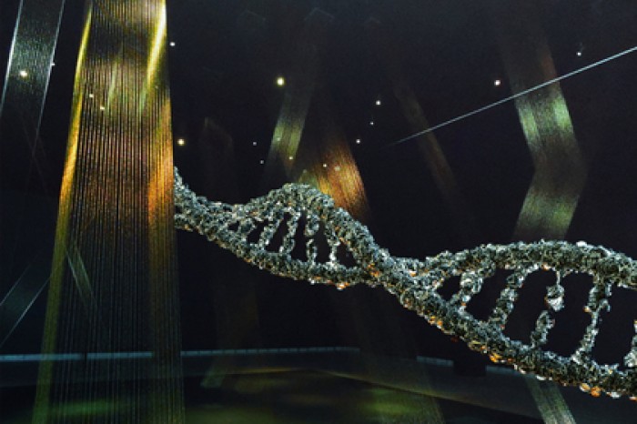 Опровергнуто популярное представление об эволюции