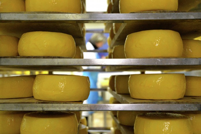 Россельхознадзор вновь запретил белорусские сыры