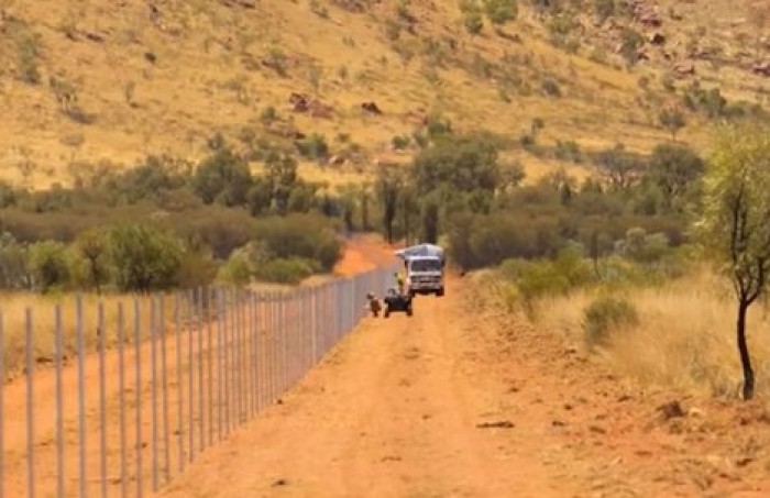 Самый длинный в мире забор против кошек построен в Австралии