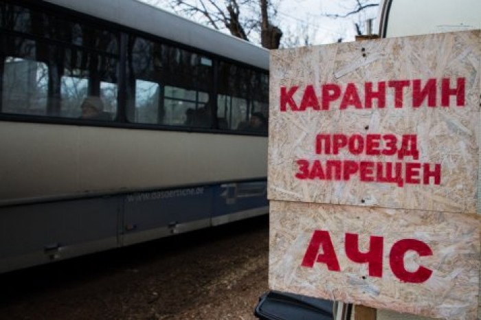 Таможня усилит контроль на юге страны для борьбы с чумой свиней