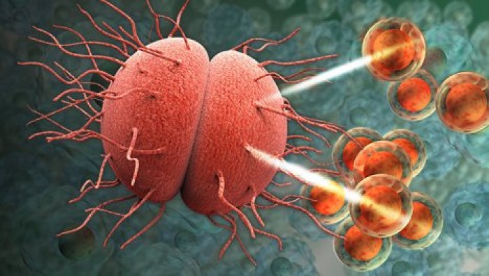 Ученые: антибиотики вызывают припадки необъяснимым путем