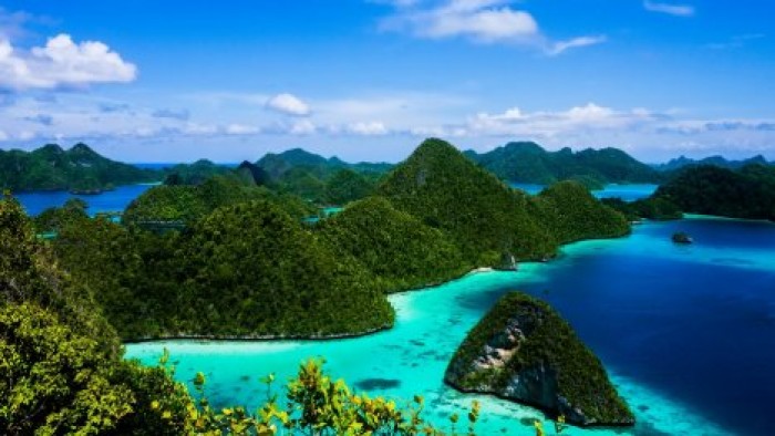 В Индийском океане обнаружили десятки новых существ