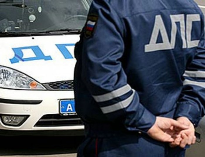 В Кемеровской области лось спровоцировал смертельное ДТП